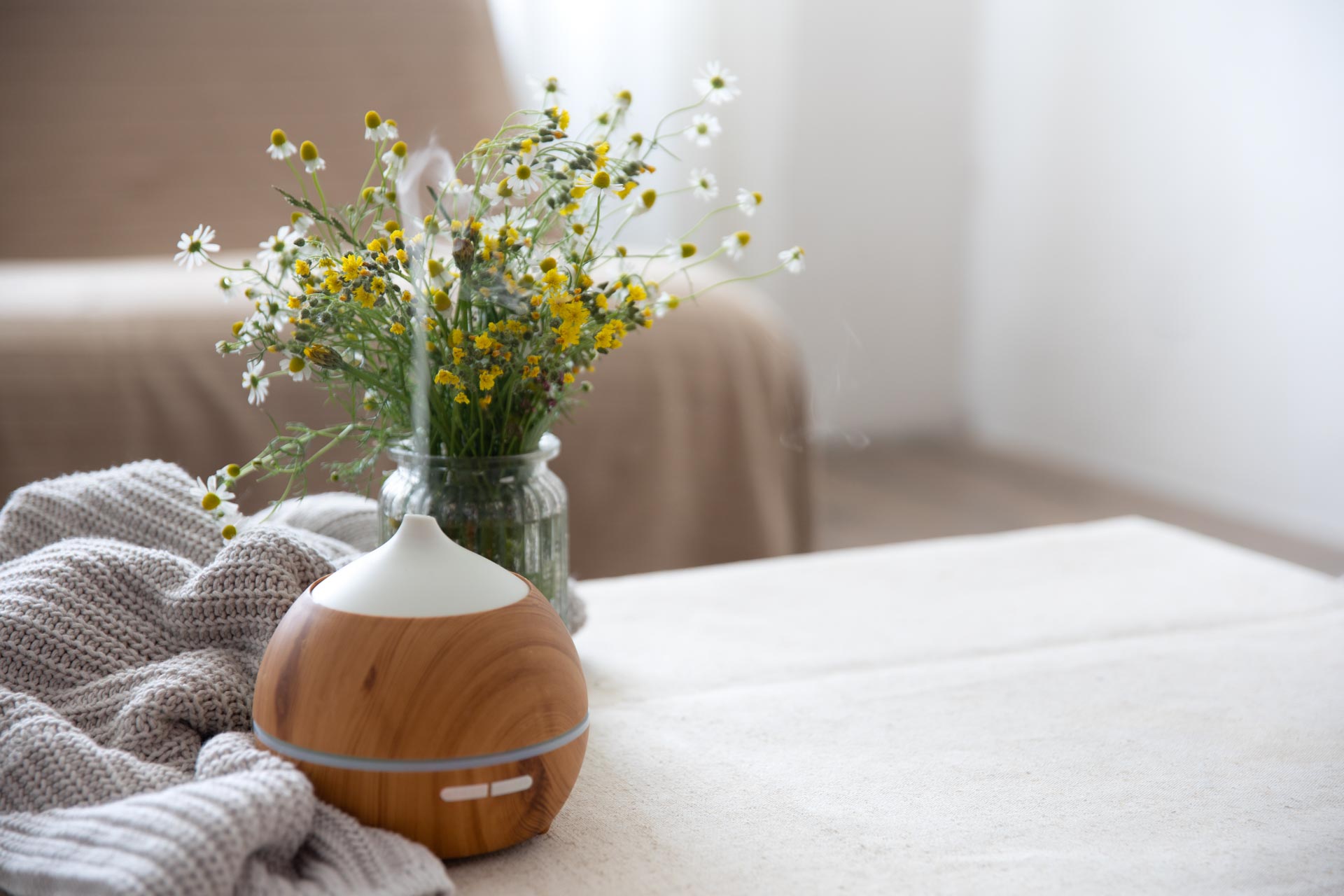 natural air fresheners for your apartment